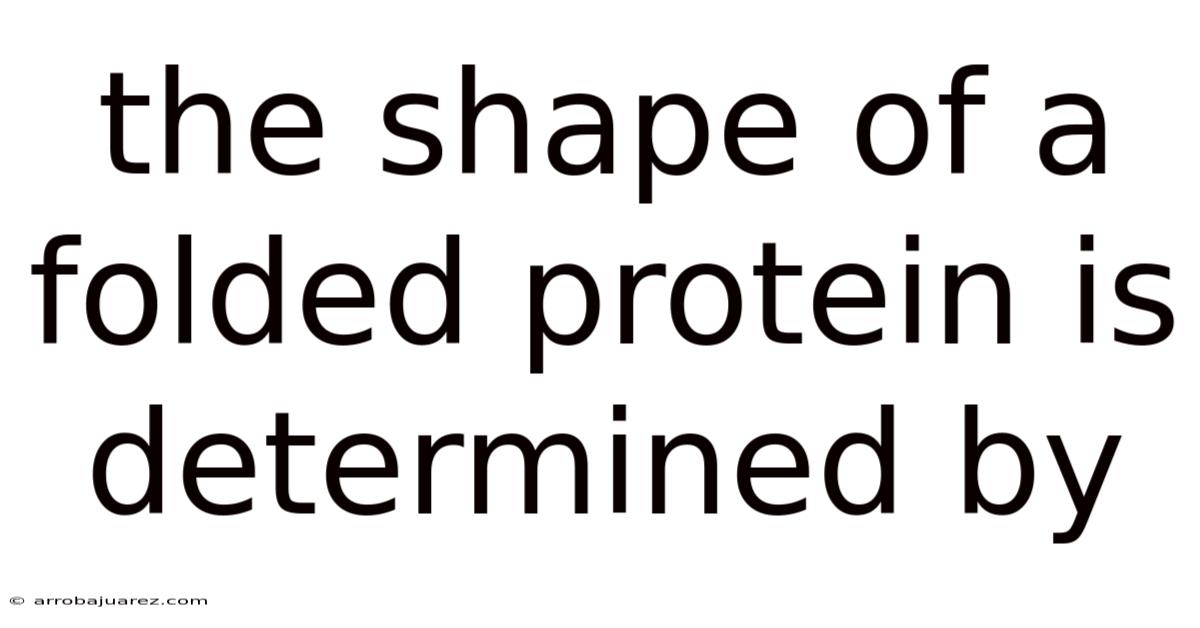 The Shape Of A Folded Protein Is Determined By