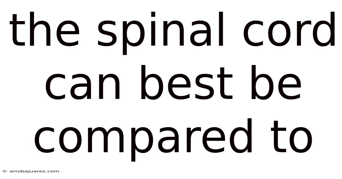 The Spinal Cord Can Best Be Compared To