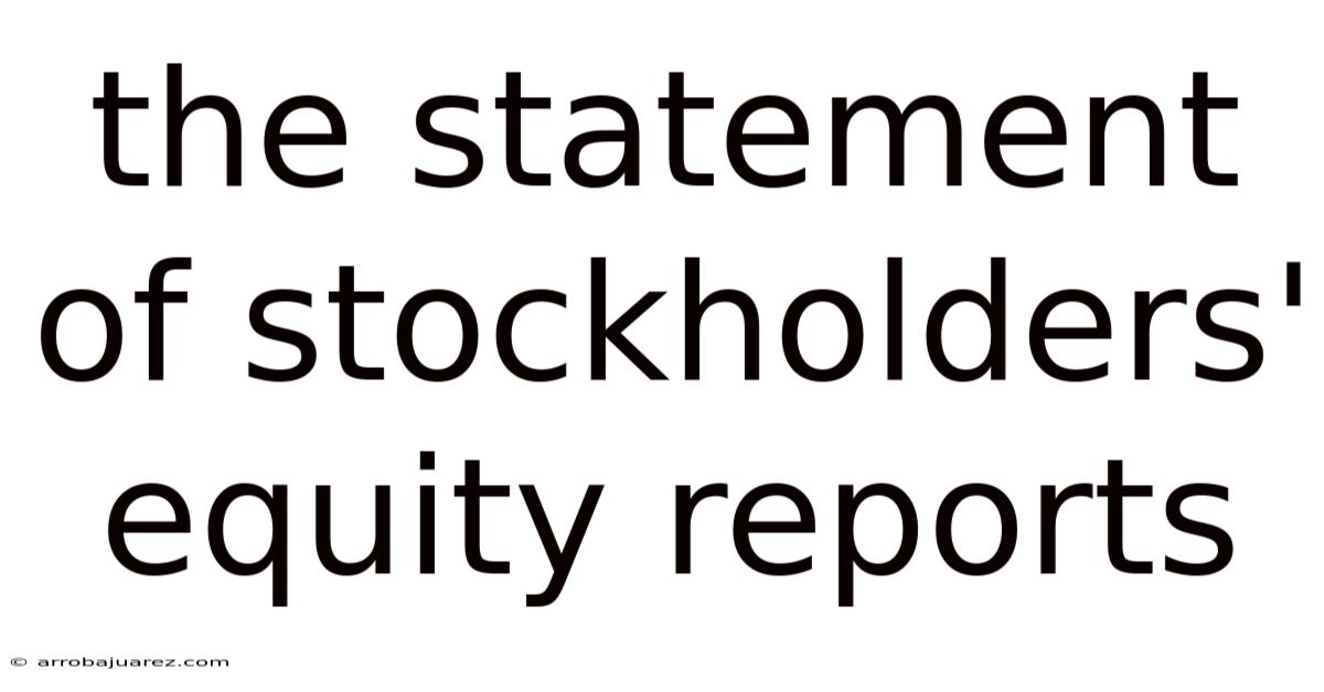 The Statement Of Stockholders' Equity Reports
