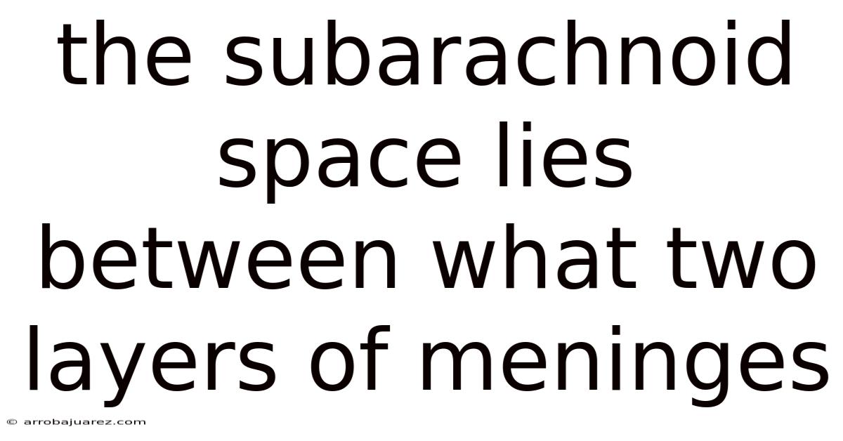 The Subarachnoid Space Lies Between What Two Layers Of Meninges