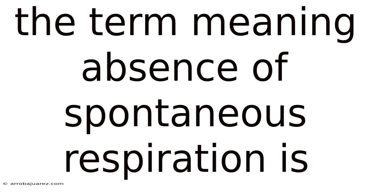 The Term Meaning Absence Of Spontaneous Respiration Is