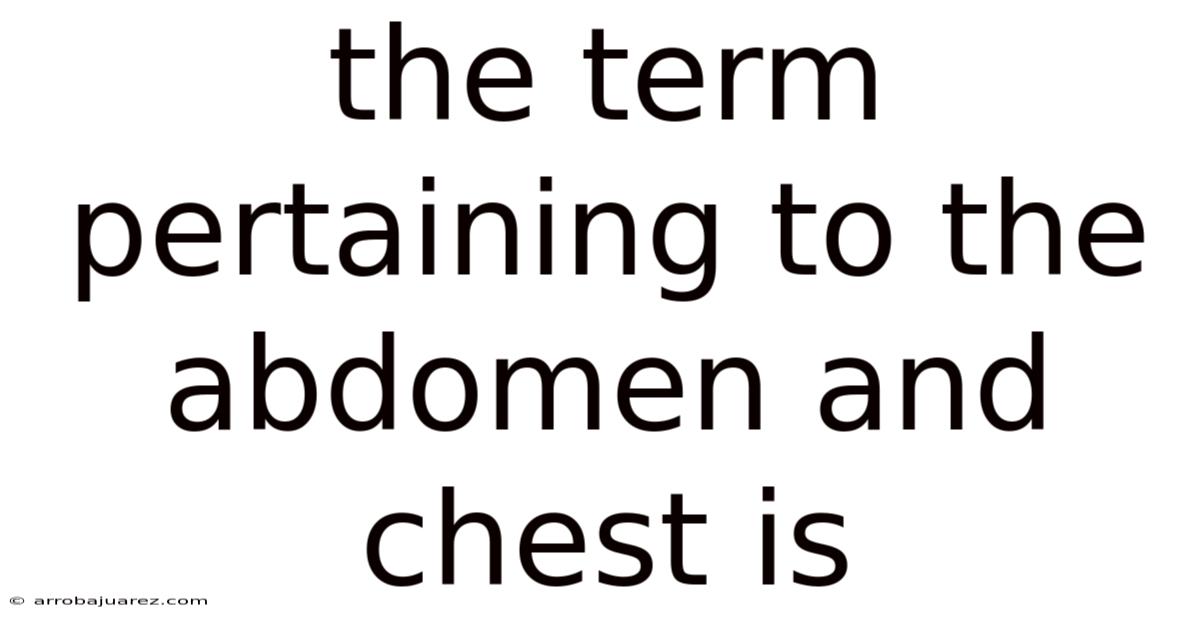 The Term Pertaining To The Abdomen And Chest Is