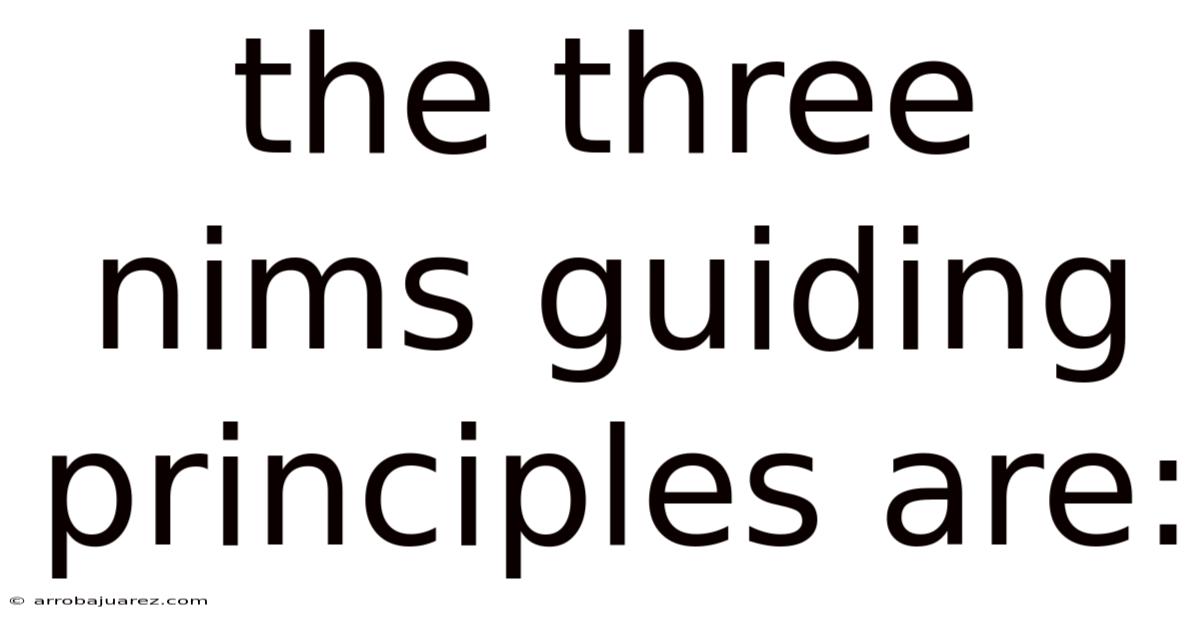 The Three Nims Guiding Principles Are: