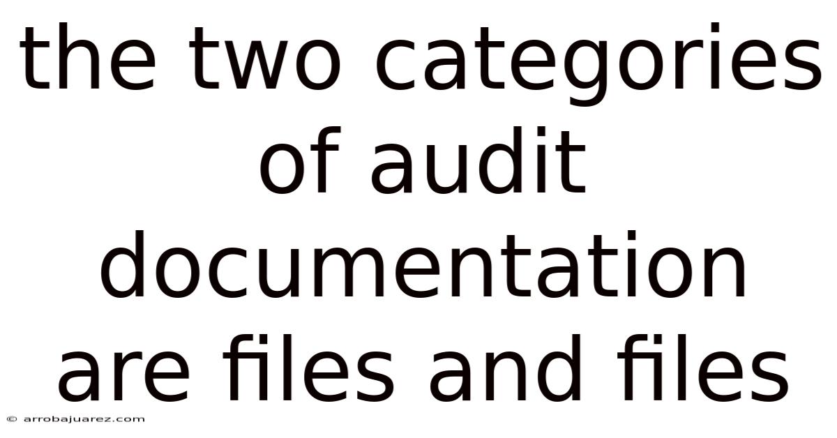 The Two Categories Of Audit Documentation Are Files And Files