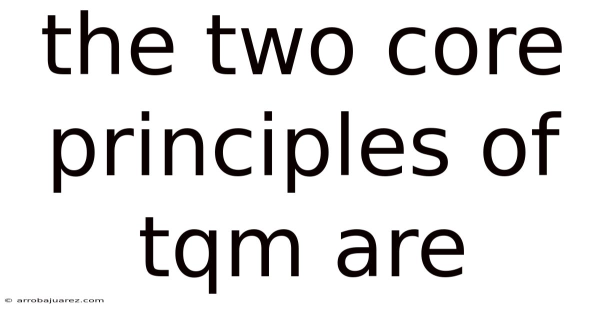 The Two Core Principles Of Tqm Are