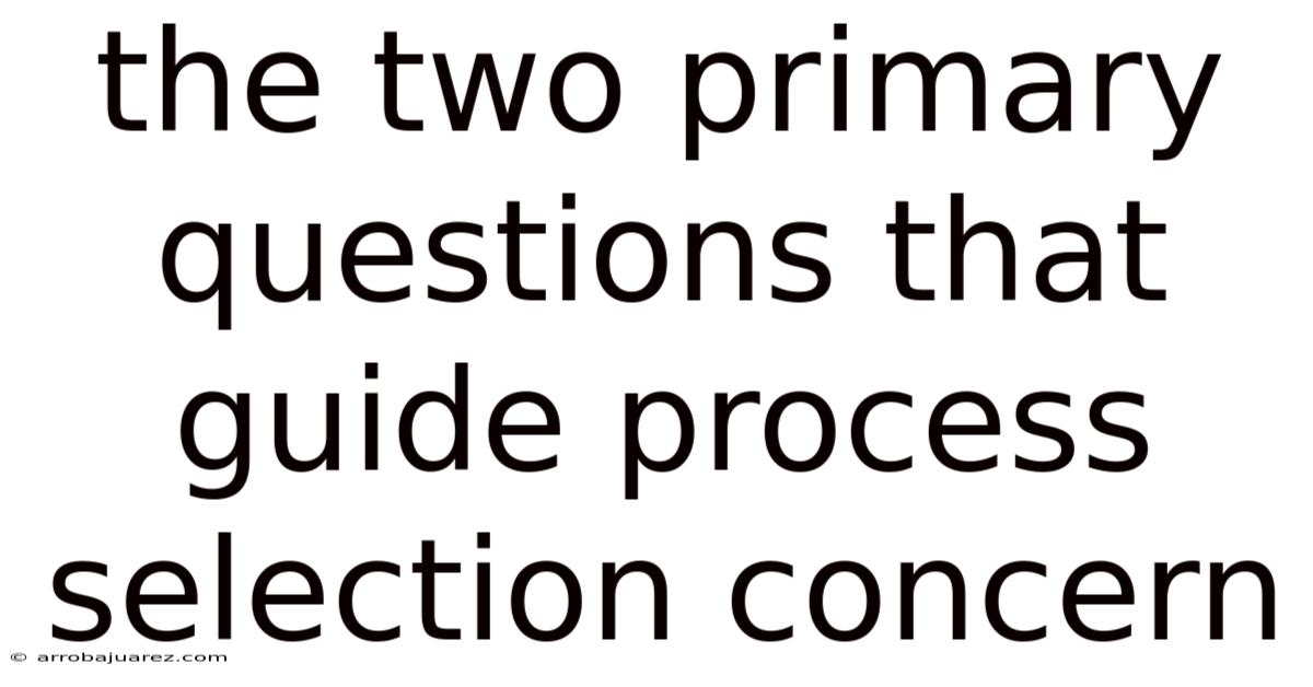 The Two Primary Questions That Guide Process Selection Concern