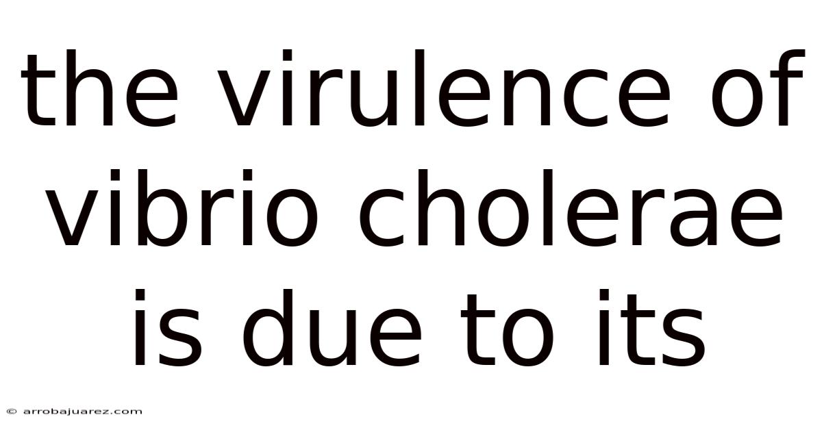 The Virulence Of Vibrio Cholerae Is Due To Its