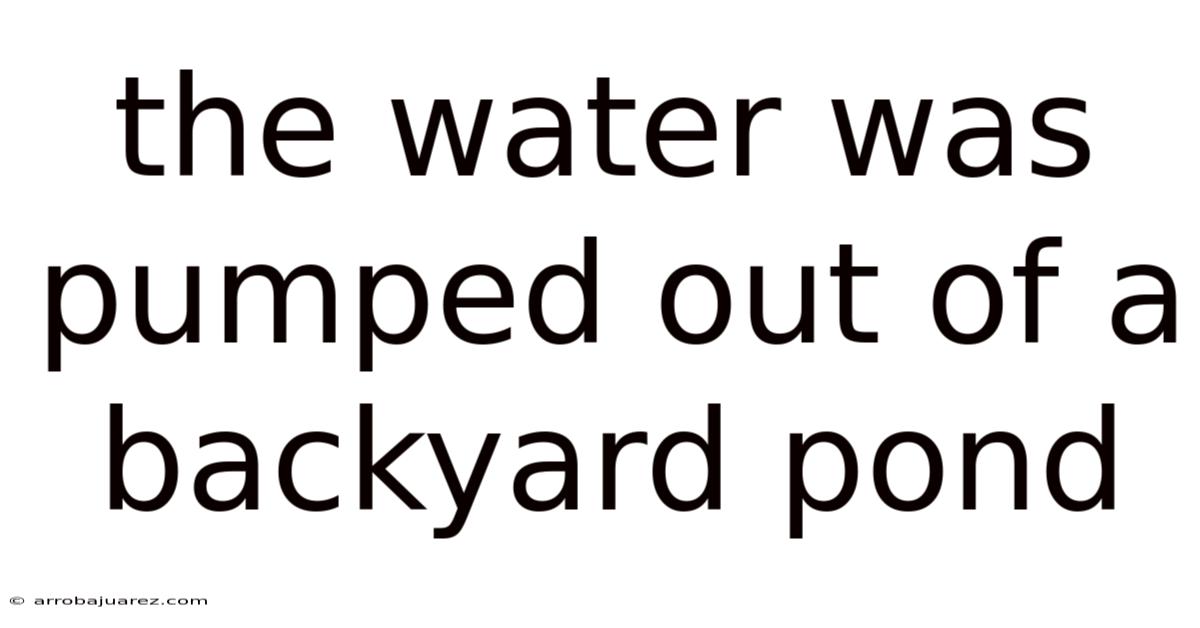 The Water Was Pumped Out Of A Backyard Pond
