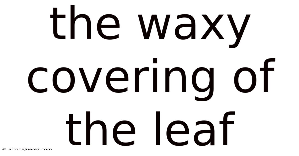The Waxy Covering Of The Leaf