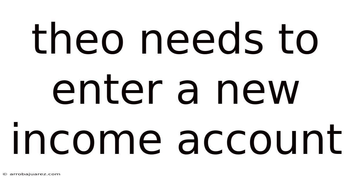 Theo Needs To Enter A New Income Account