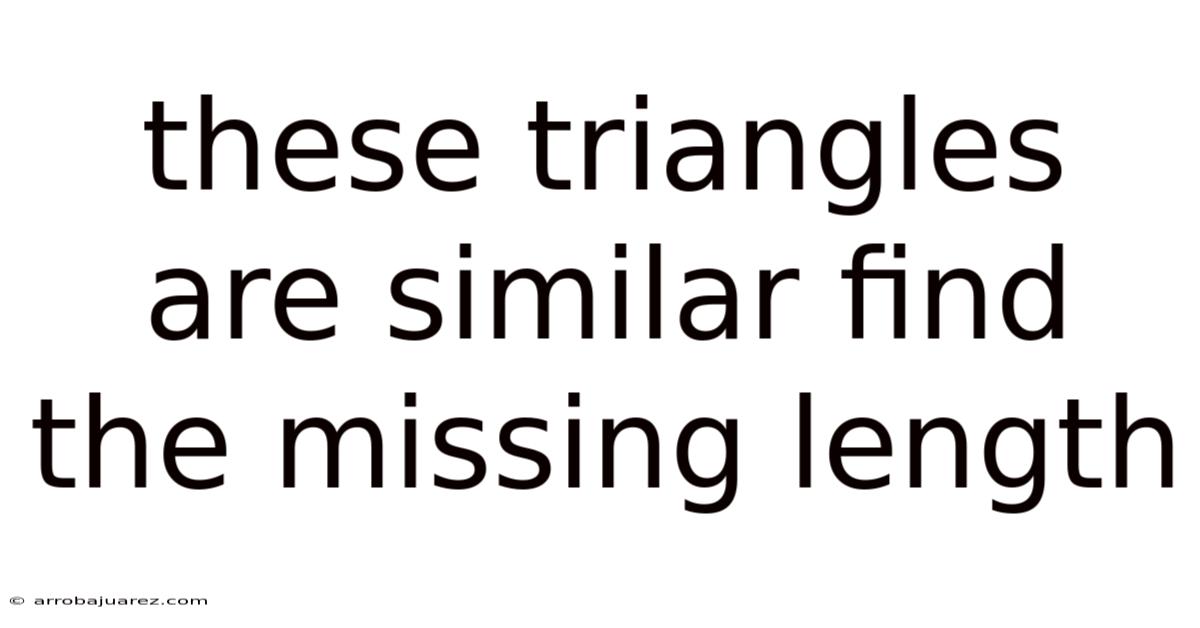 These Triangles Are Similar Find The Missing Length