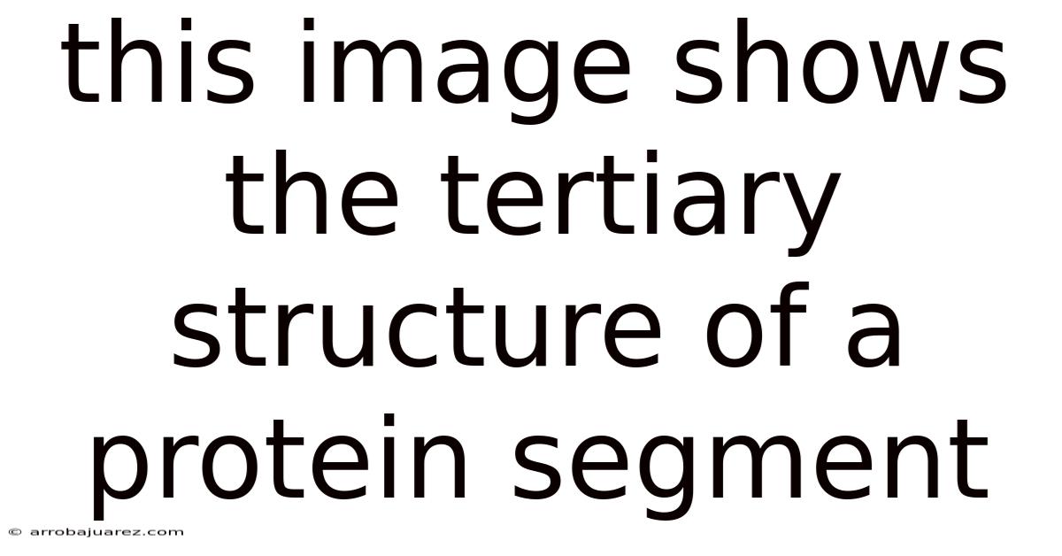 This Image Shows The Tertiary Structure Of A Protein Segment