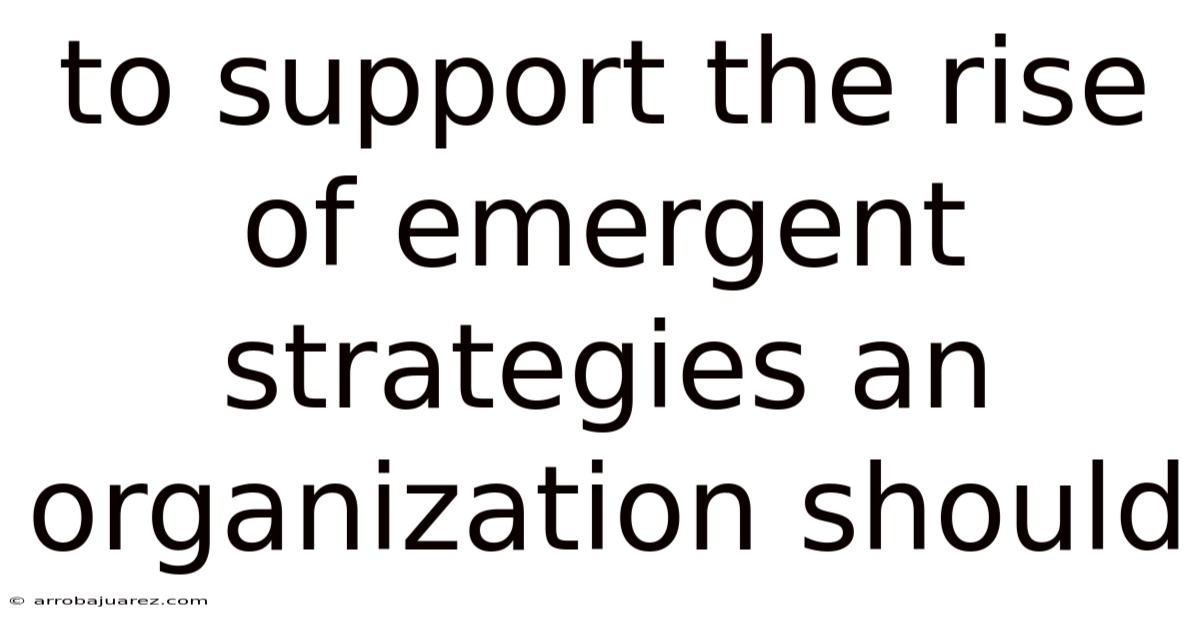 To Support The Rise Of Emergent Strategies An Organization Should