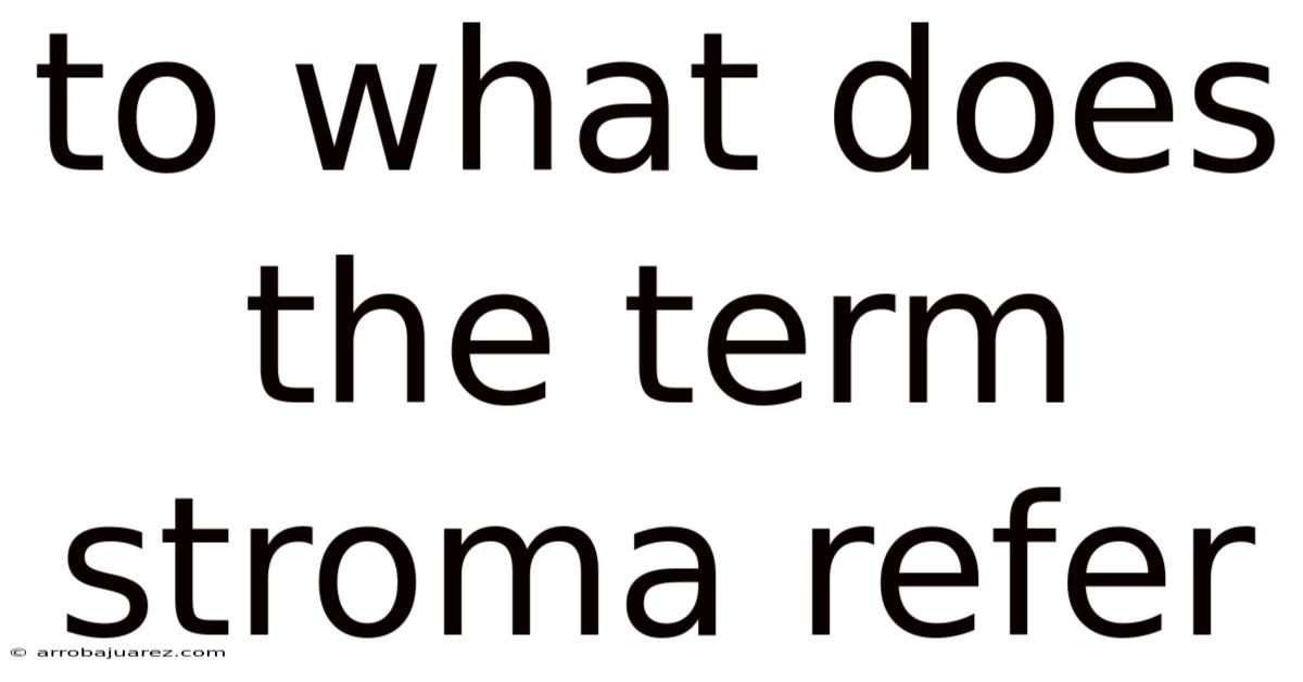 To What Does The Term Stroma Refer