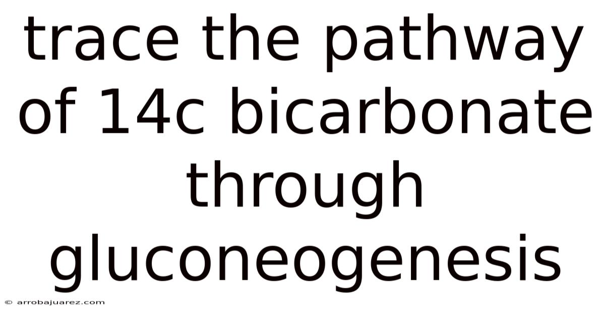 Trace The Pathway Of 14c Bicarbonate Through Gluconeogenesis