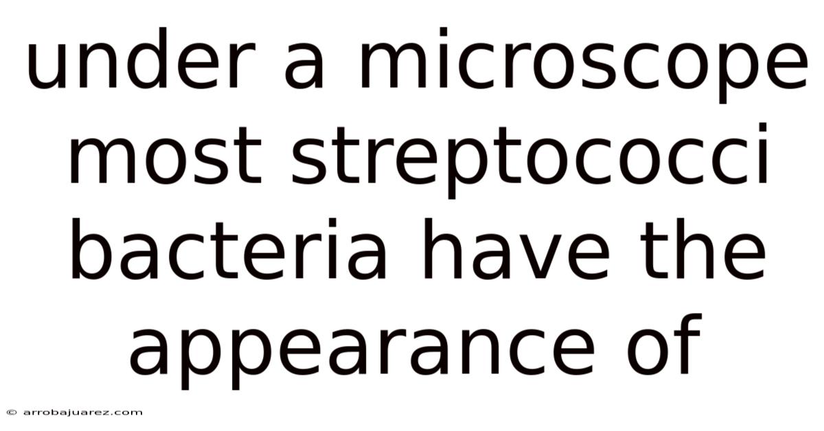 Under A Microscope Most Streptococci Bacteria Have The Appearance Of