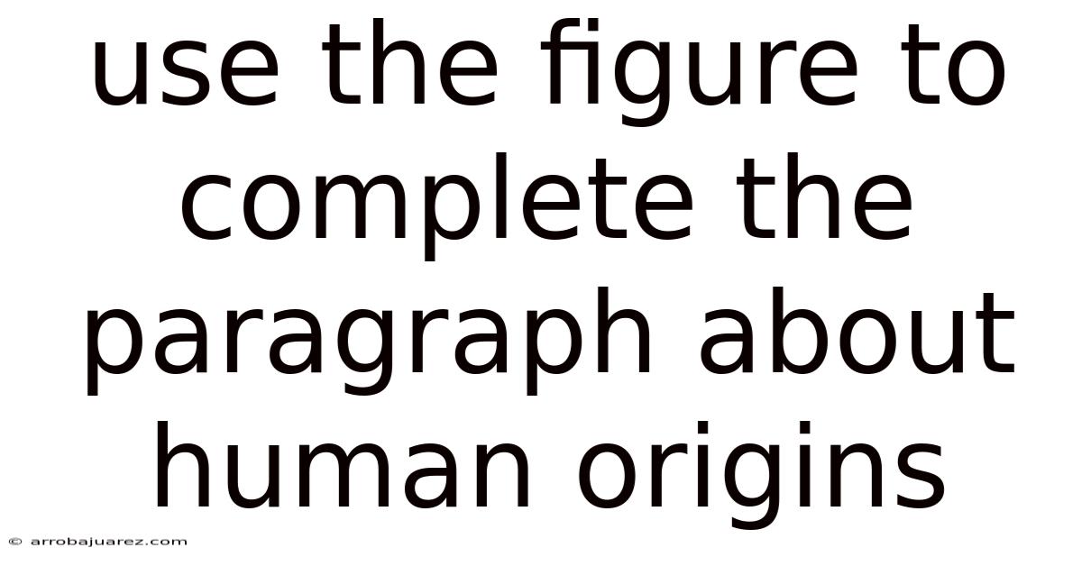 Use The Figure To Complete The Paragraph About Human Origins