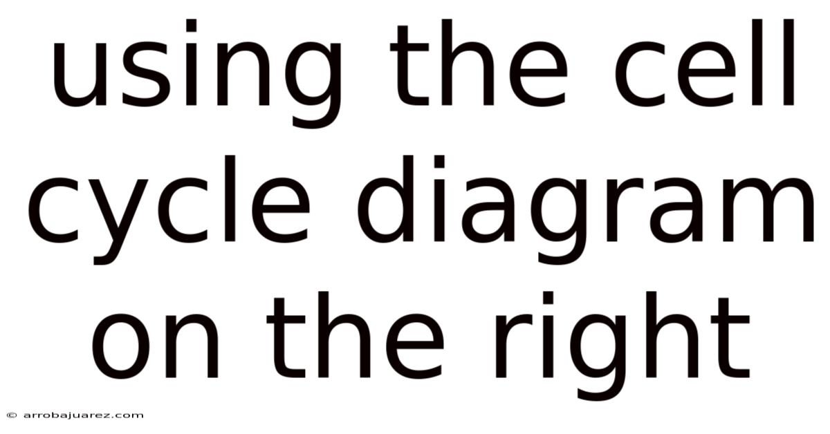 Using The Cell Cycle Diagram On The Right