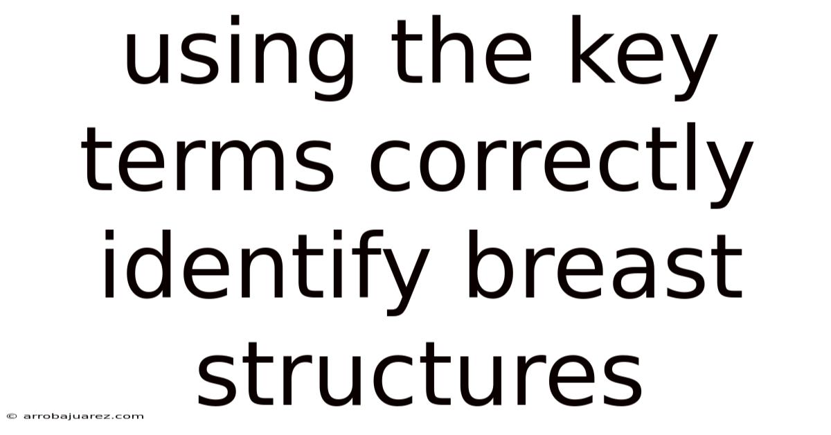 Using The Key Terms Correctly Identify Breast Structures