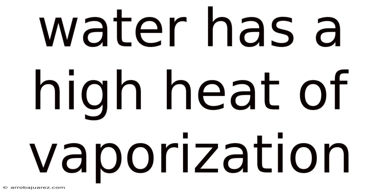 Water Has A High Heat Of Vaporization
