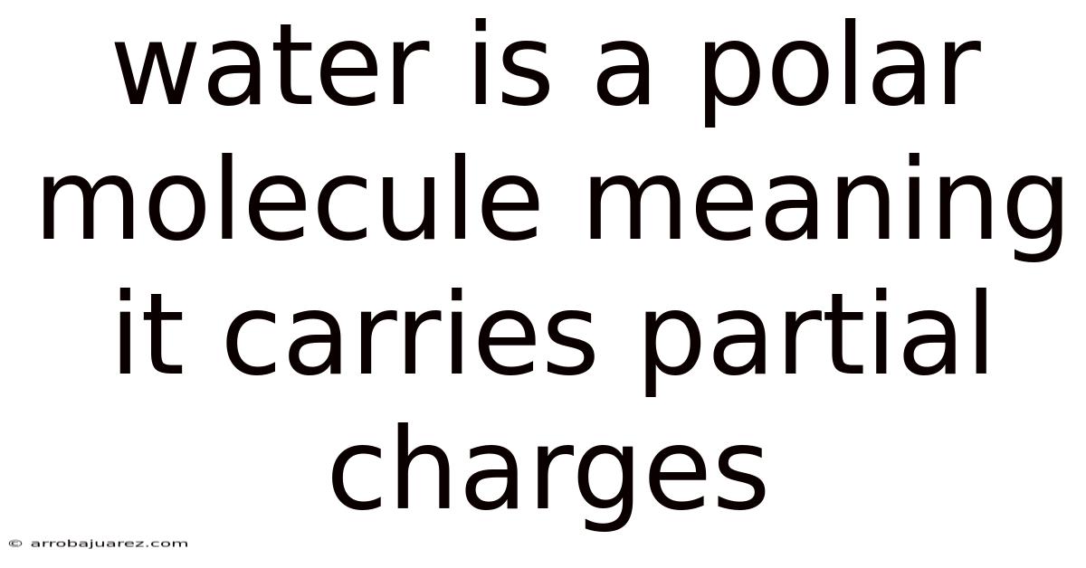 Water Is A Polar Molecule Meaning It Carries Partial Charges
