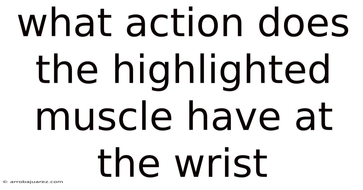 What Action Does The Highlighted Muscle Have At The Wrist