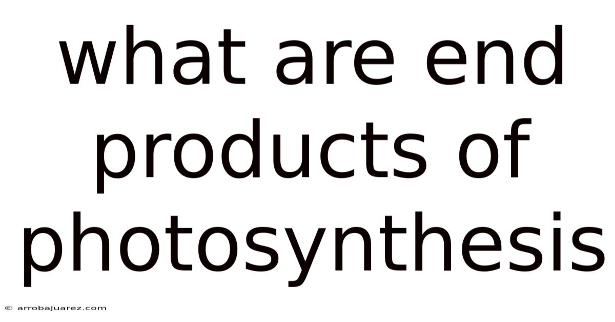 What Are End Products Of Photosynthesis