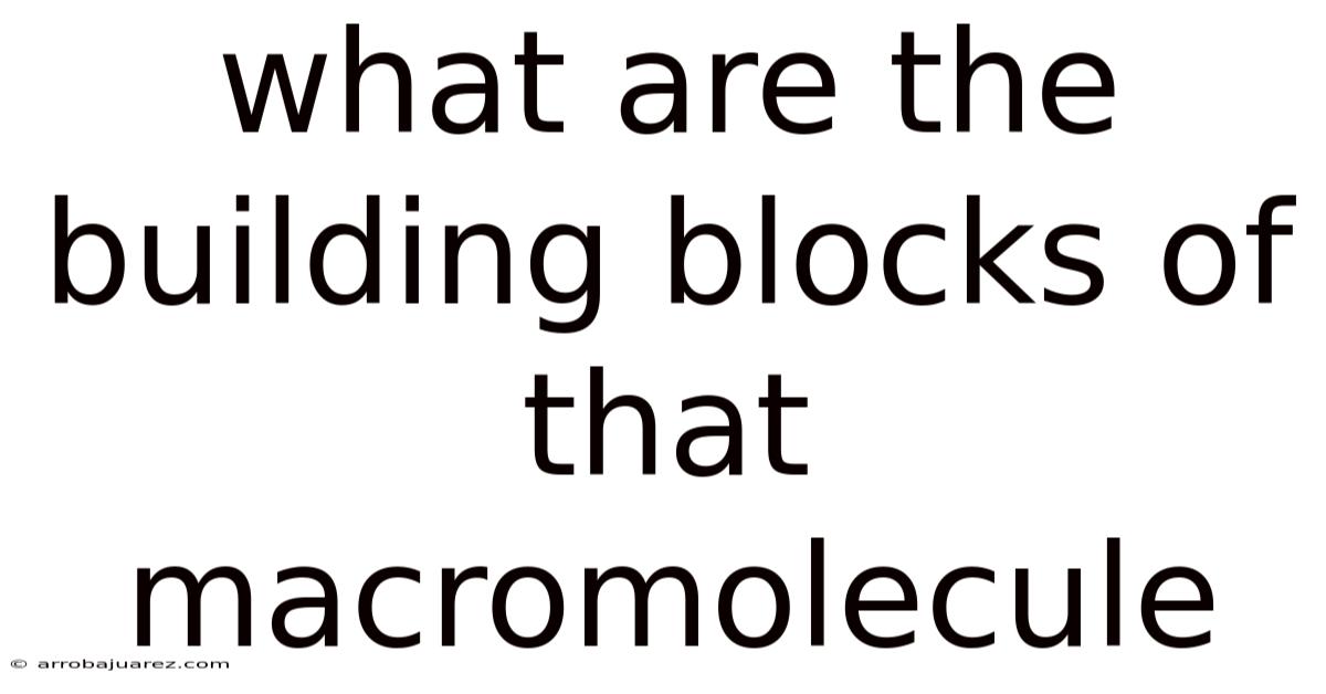 What Are The Building Blocks Of That Macromolecule