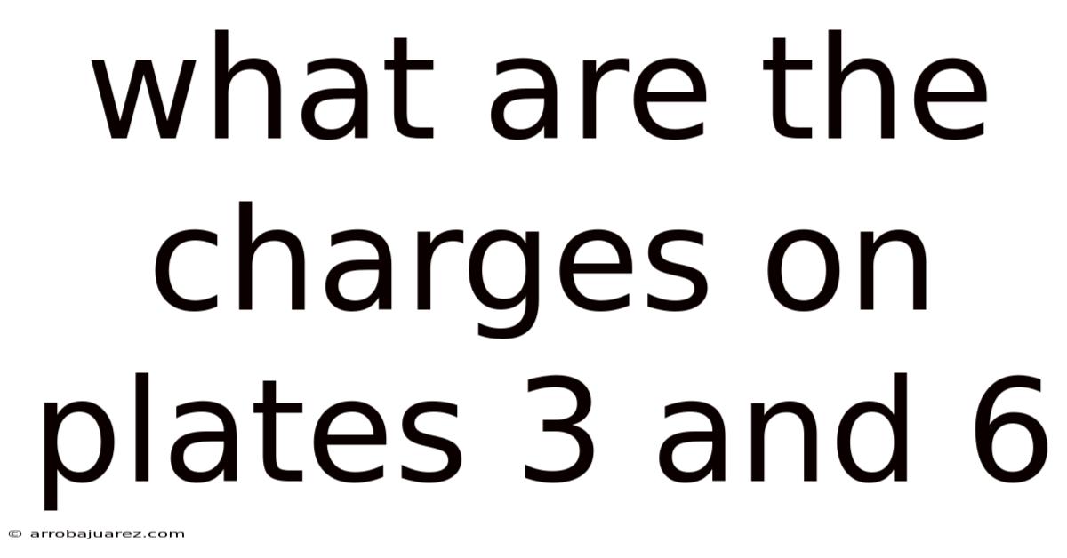 What Are The Charges On Plates 3 And 6