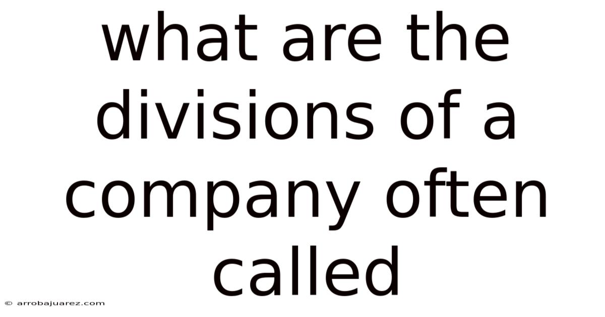 What Are The Divisions Of A Company Often Called