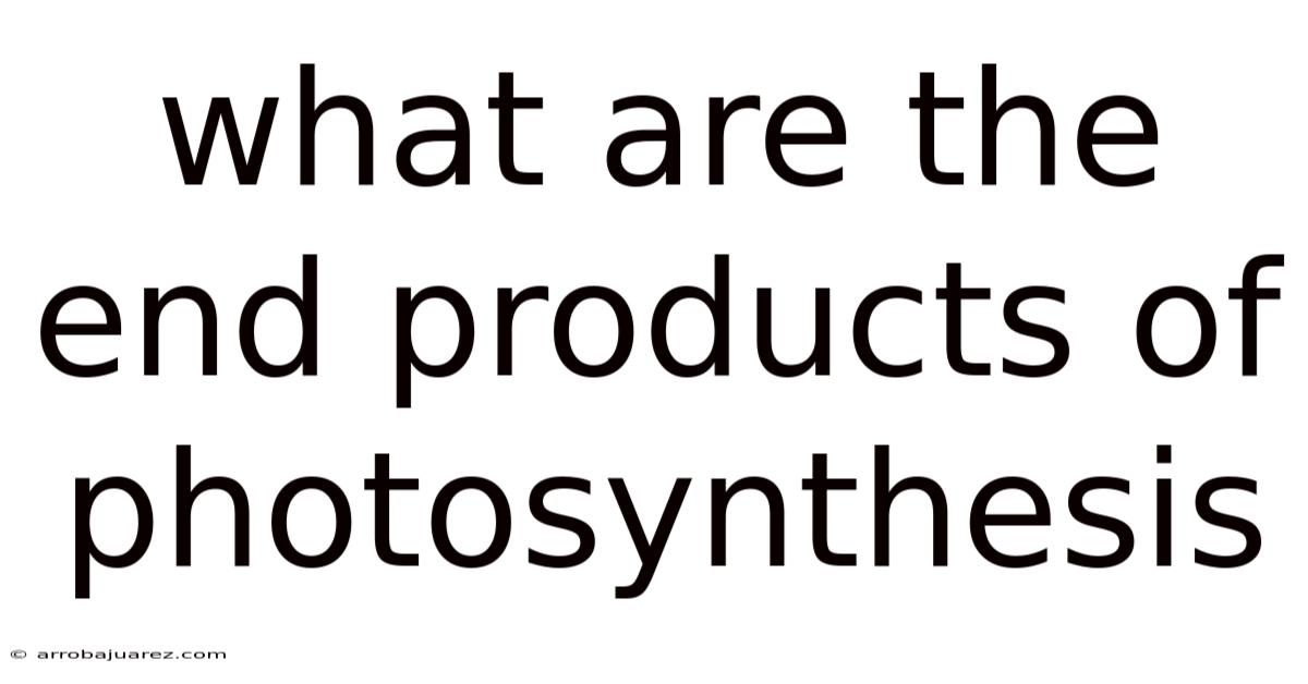 What Are The End Products Of Photosynthesis