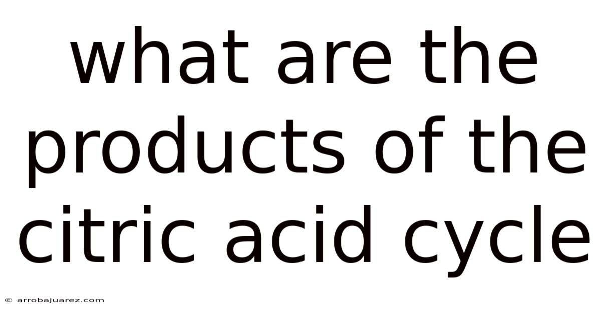 What Are The Products Of The Citric Acid Cycle