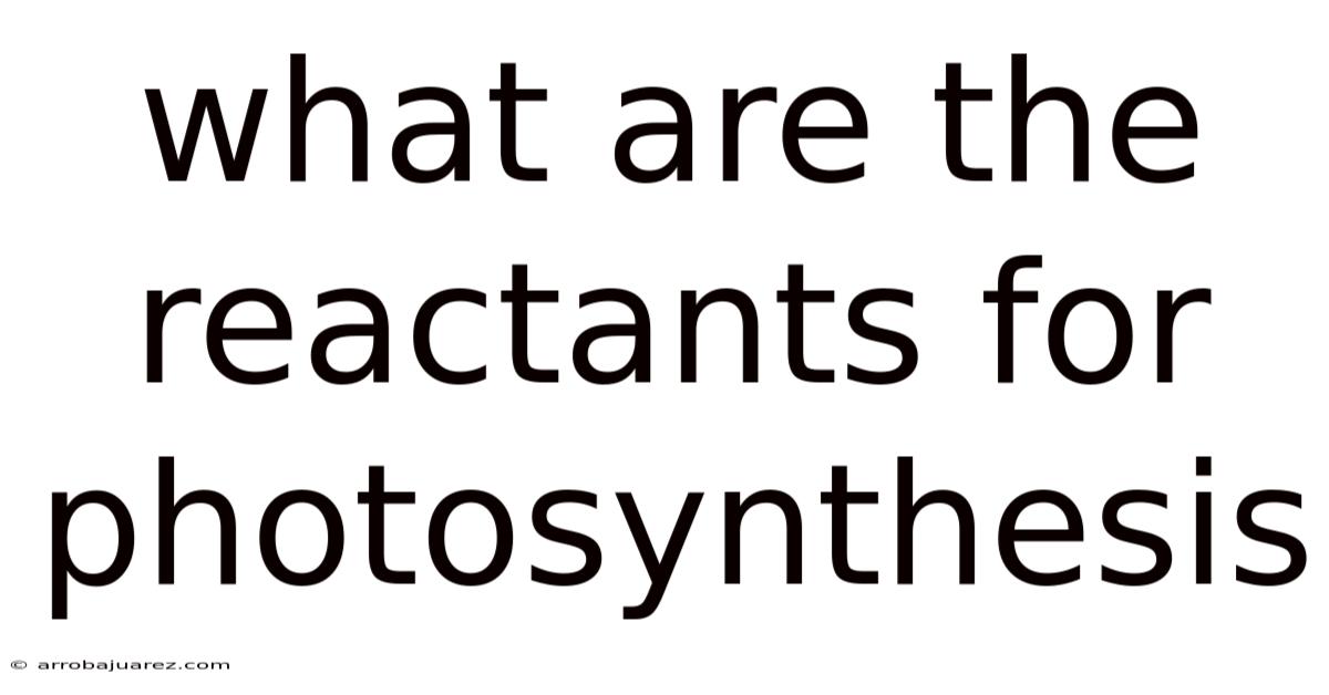 What Are The Reactants For Photosynthesis
