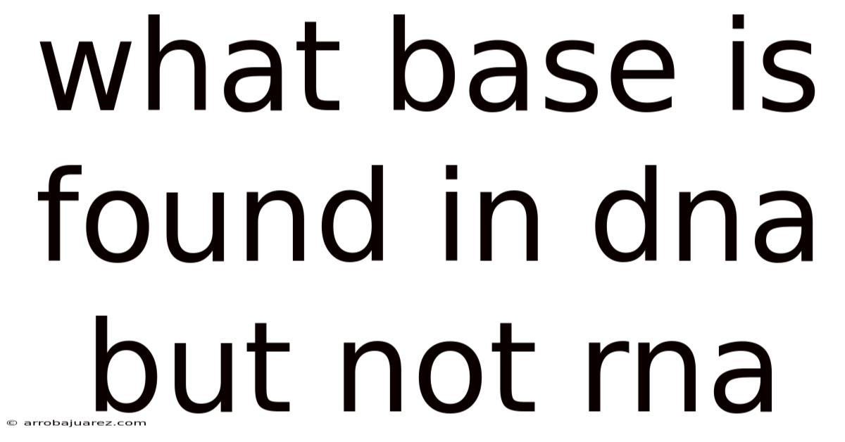 What Base Is Found In Dna But Not Rna