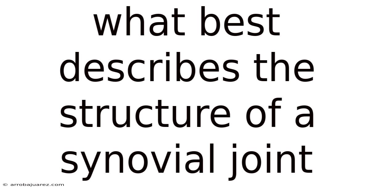 What Best Describes The Structure Of A Synovial Joint