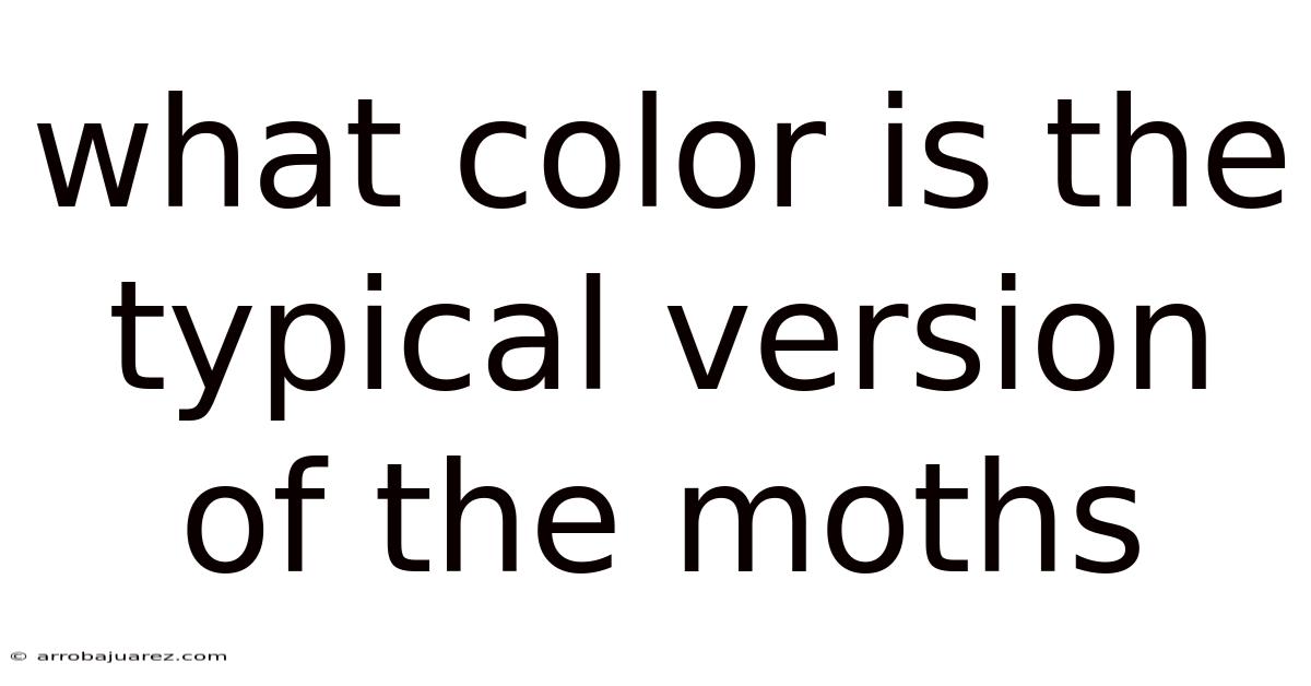 What Color Is The Typical Version Of The Moths