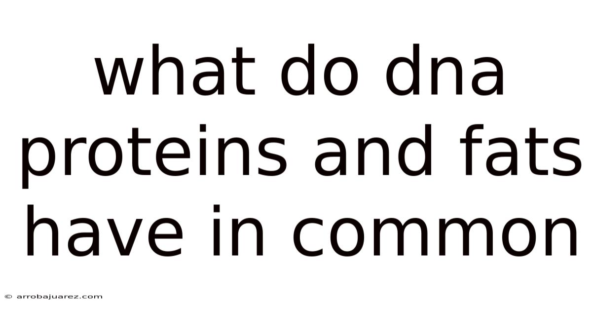 What Do Dna Proteins And Fats Have In Common