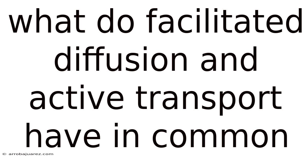 What Do Facilitated Diffusion And Active Transport Have In Common