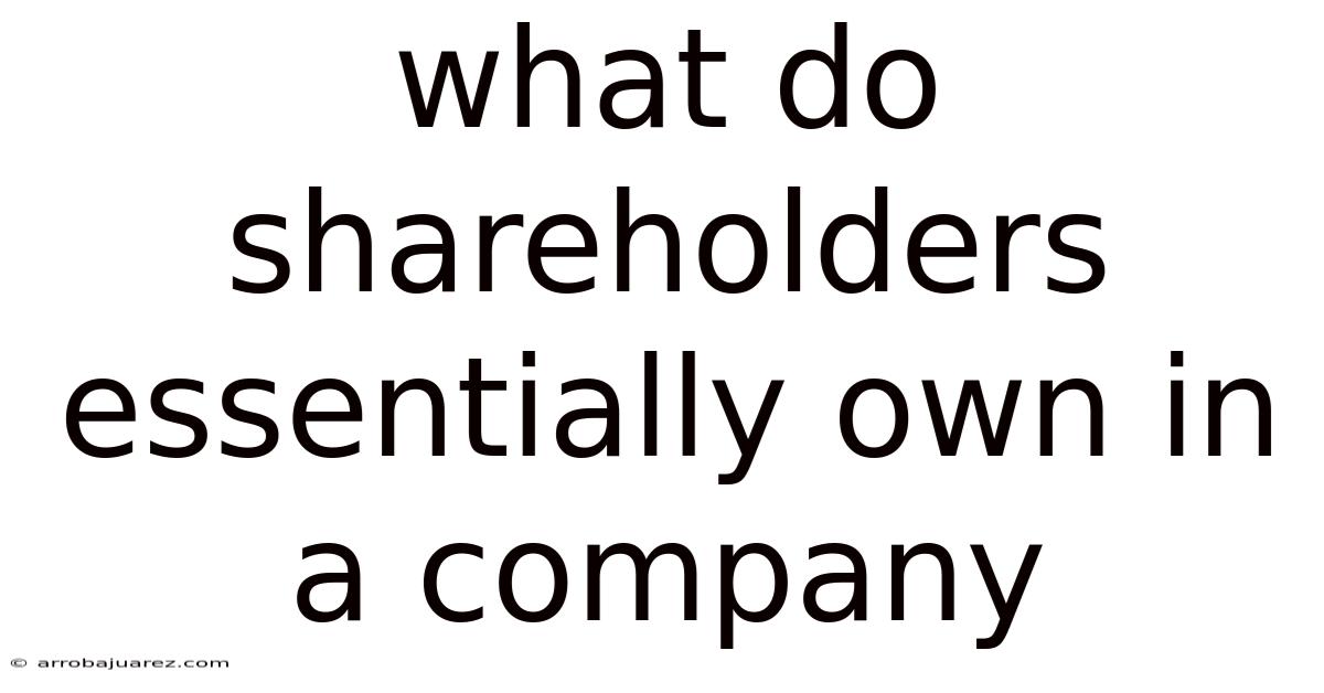 What Do Shareholders Essentially Own In A Company