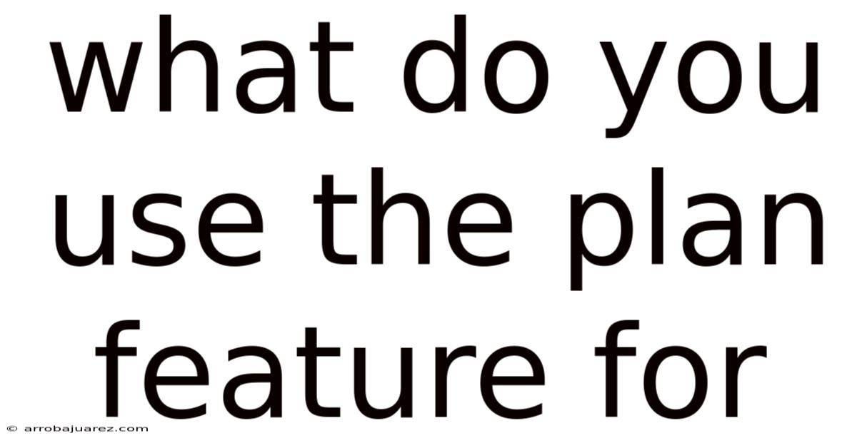 What Do You Use The Plan Feature For