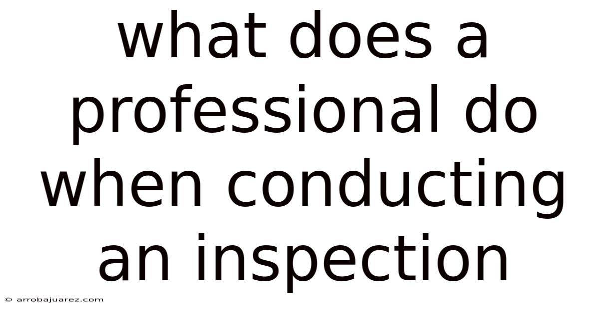 What Does A Professional Do When Conducting An Inspection