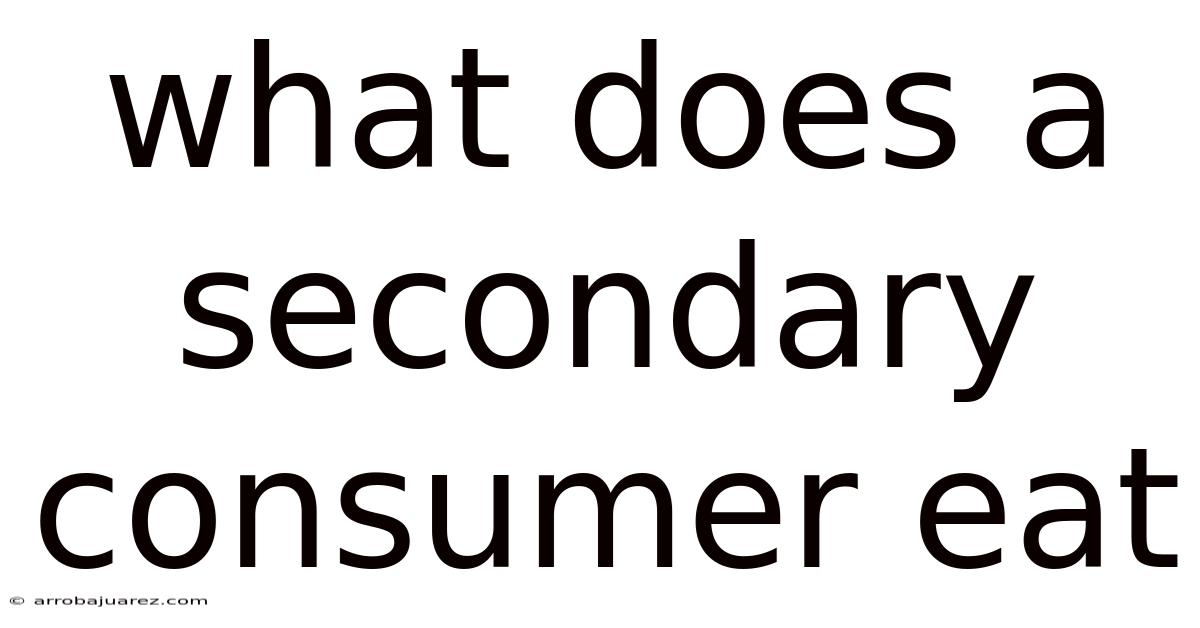 What Does A Secondary Consumer Eat