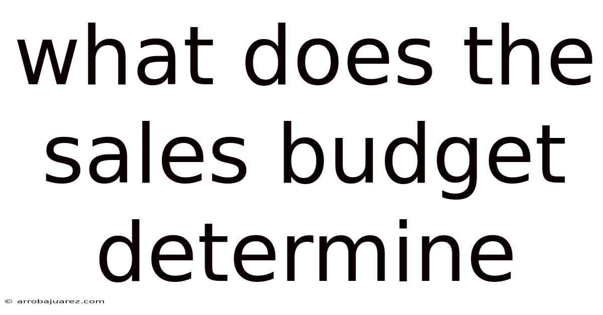 What Does The Sales Budget Determine
