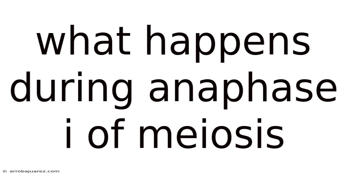What Happens During Anaphase I Of Meiosis