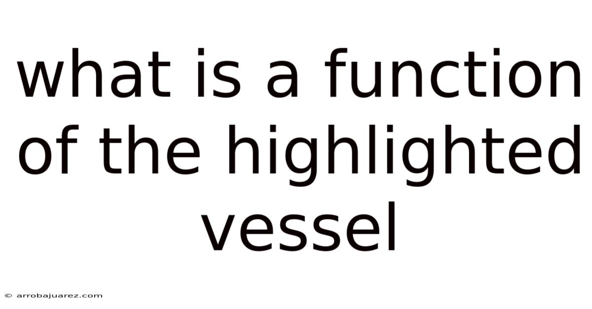 What Is A Function Of The Highlighted Vessel