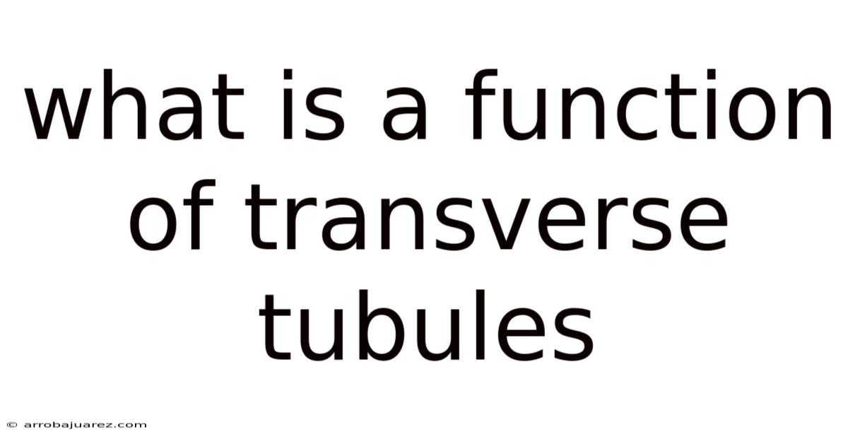 What Is A Function Of Transverse Tubules