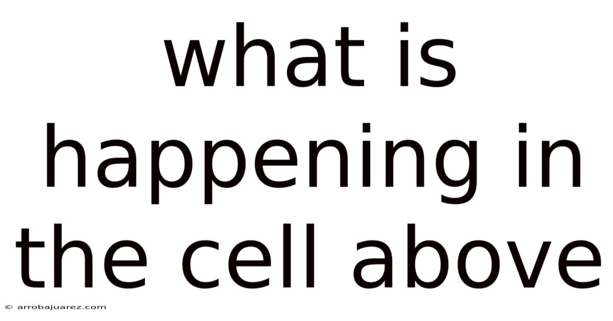 What Is Happening In The Cell Above