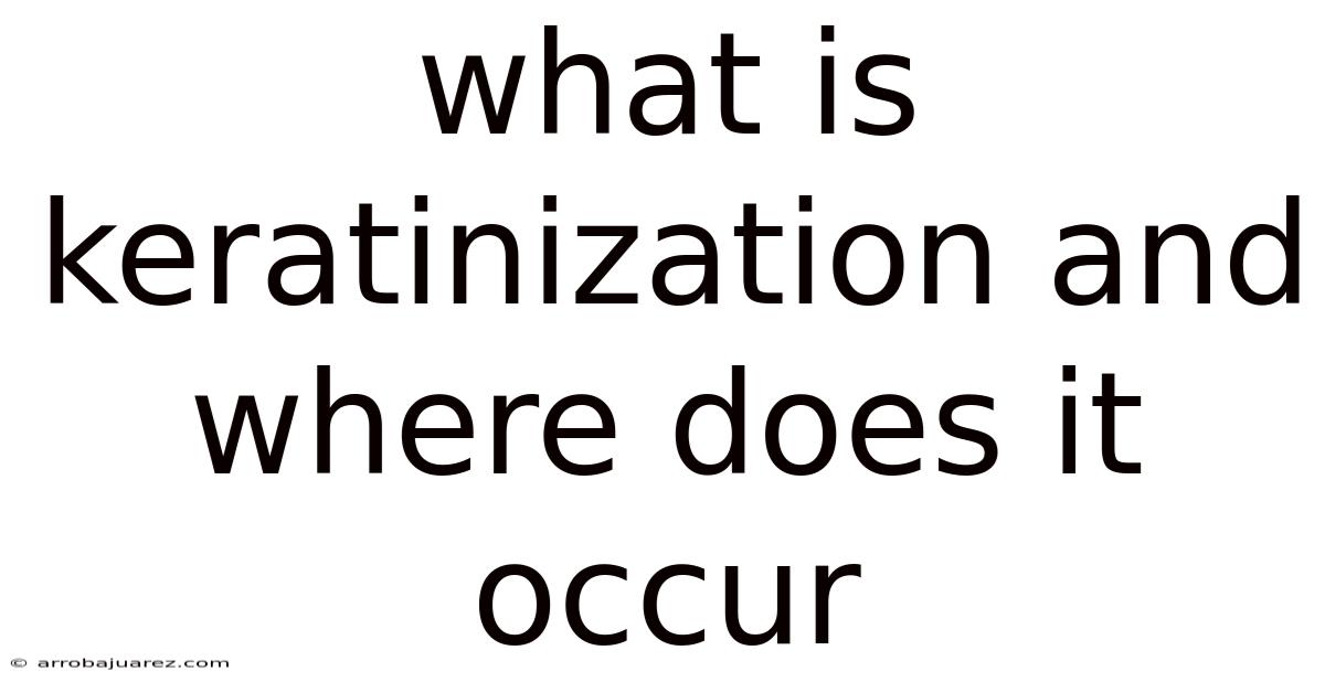 What Is Keratinization And Where Does It Occur