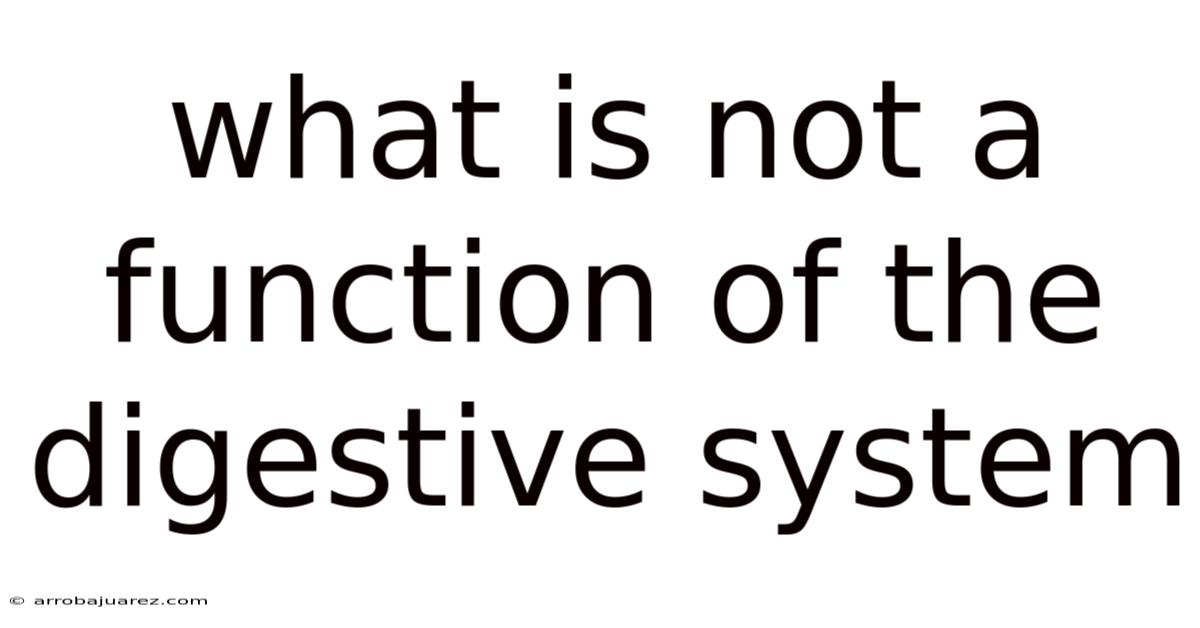 What Is Not A Function Of The Digestive System