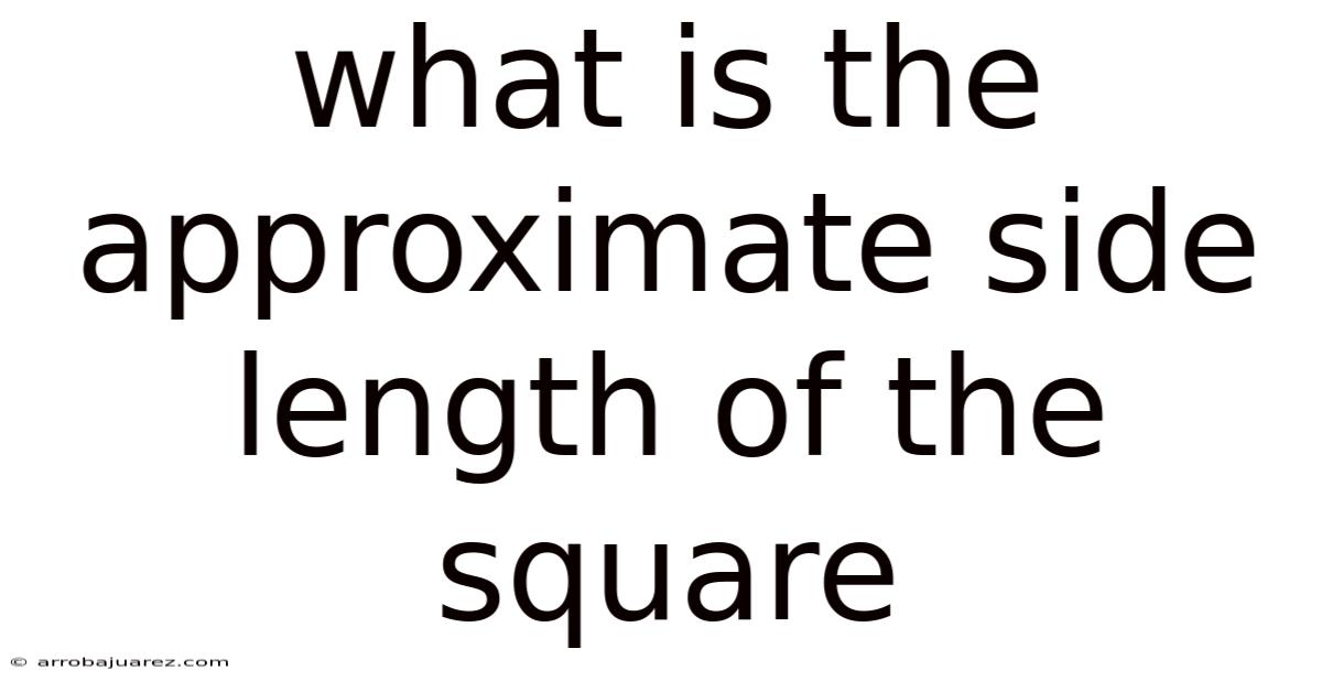 What Is The Approximate Side Length Of The Square